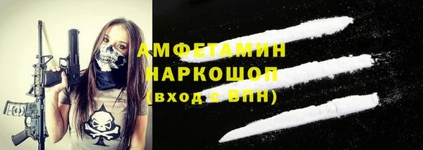 гашик Вяземский