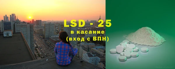 гашик Вяземский